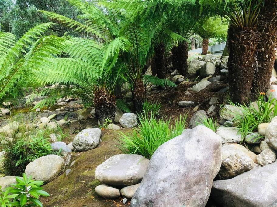 Casa de férias Cozy Creek *